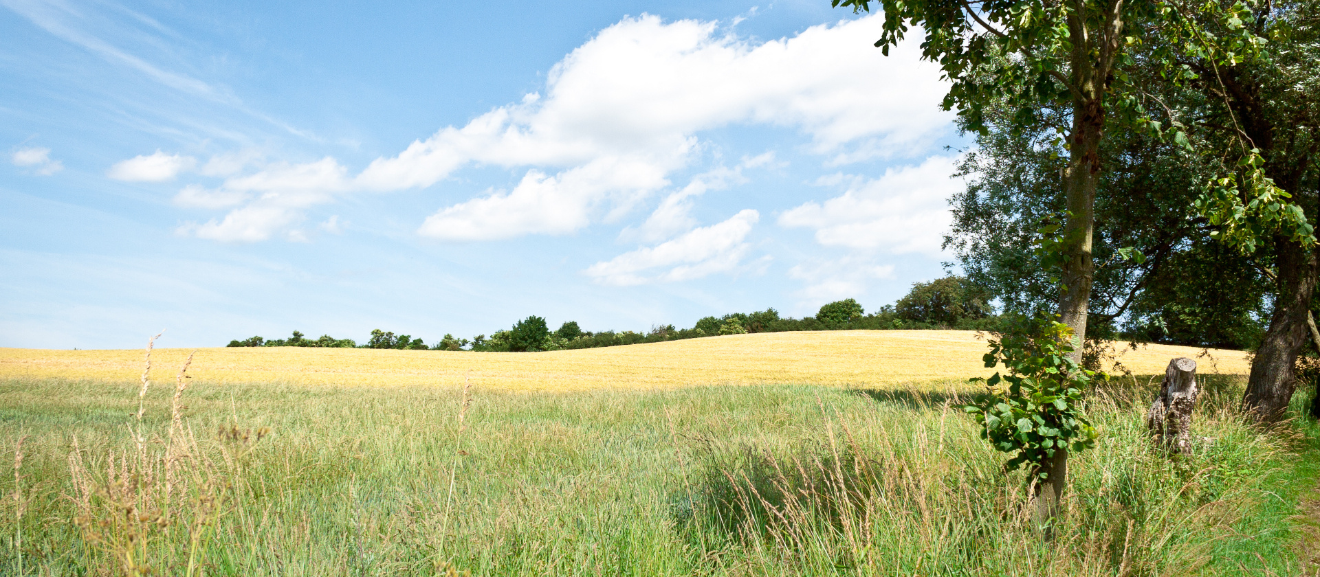 Foto der Landschaft vor Wichmannsdorf